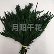 缩略图 7