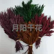 缩略图 5
