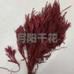 缩略图 4