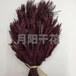 缩略图 8