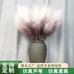缩略图 1