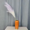 缩略图 5