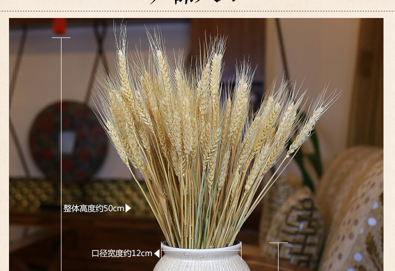 干花大麦麦穗干花开业花篮大麦装饰麦穗干花批发详情图35