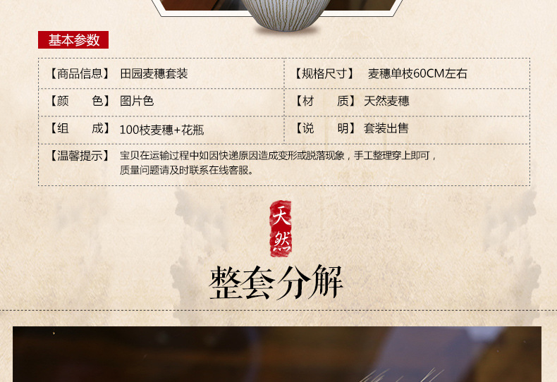 干花大麦麦穗干花开业花篮大麦装饰麦穗干花批发详情图32
