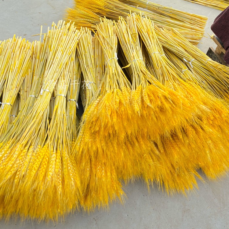 干花大麦麦穗干花开业花篮大麦装饰麦穗干花批发详情图11