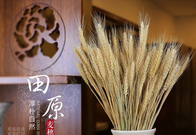 干花大麦麦穗干花开业花篮大麦装饰麦穗干花批发详情图29