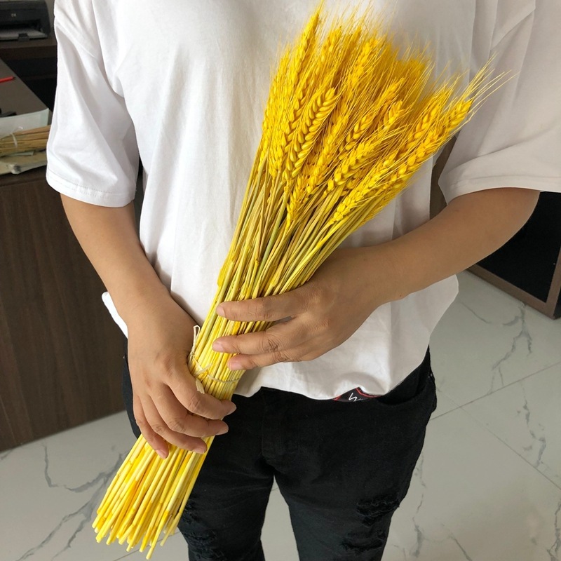 干花大麦麦穗干花开业花篮大麦装饰麦穗干花批发详情图22