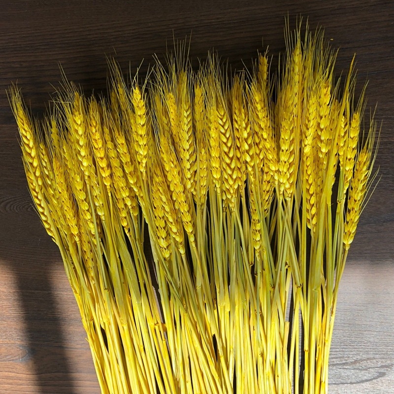 干花大麦麦穗干花开业花篮大麦装饰麦穗干花批发详情图23