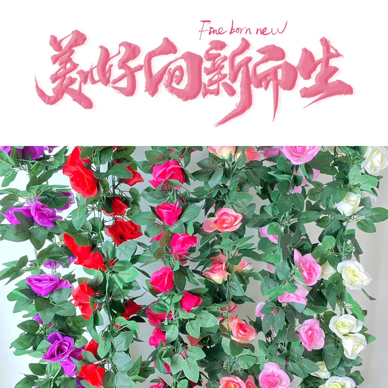 主图 1