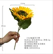 缩略图 9