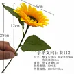缩略图 7