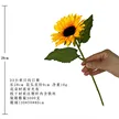 缩略图 8