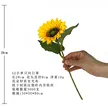 缩略图 5