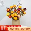 缩略图 1