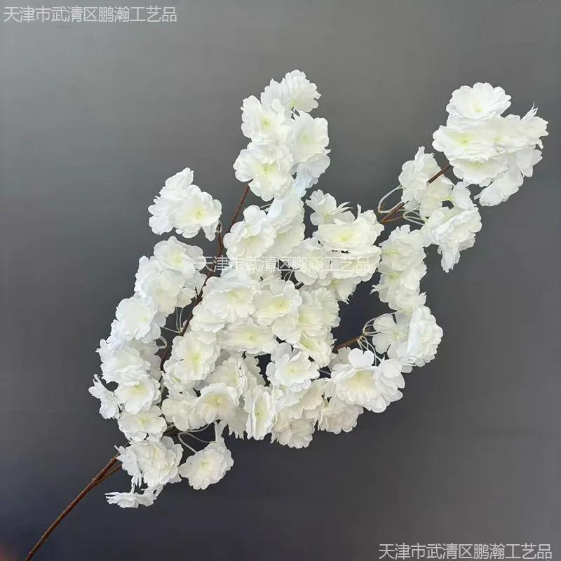主图 1