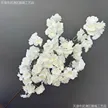 缩略图 1