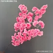 缩略图 7