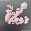 缩略图 2