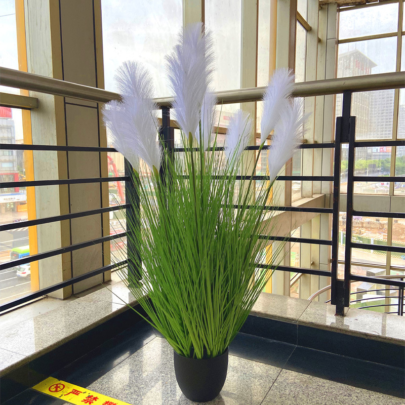 120高9头芦苇-春色-800-1