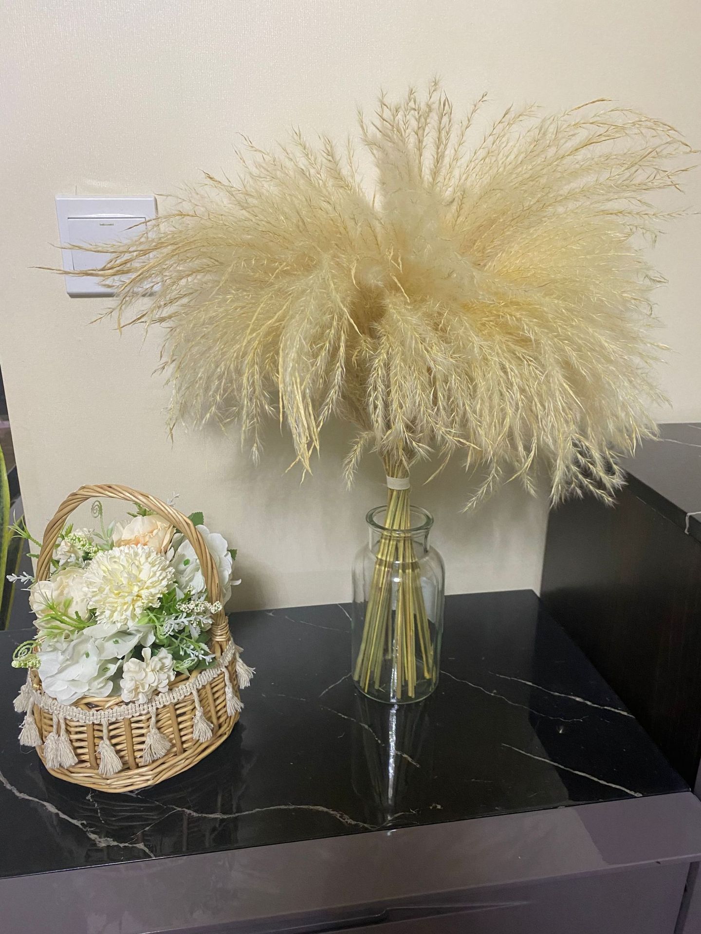 白芦苇1