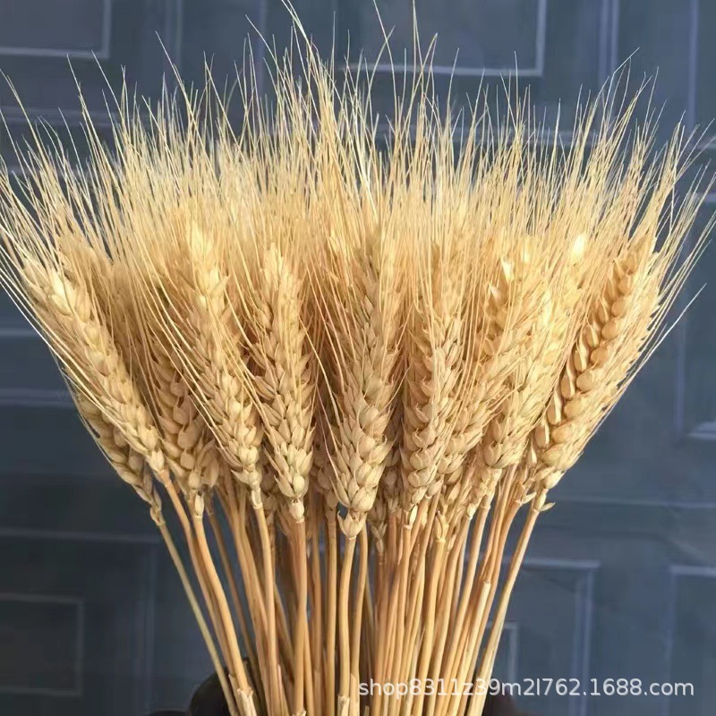 微信图片_20220323151347