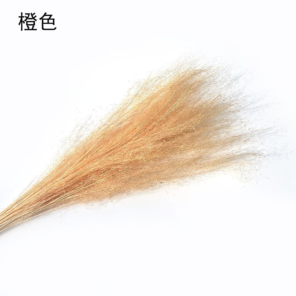 微信图片_20230910125954.jpg