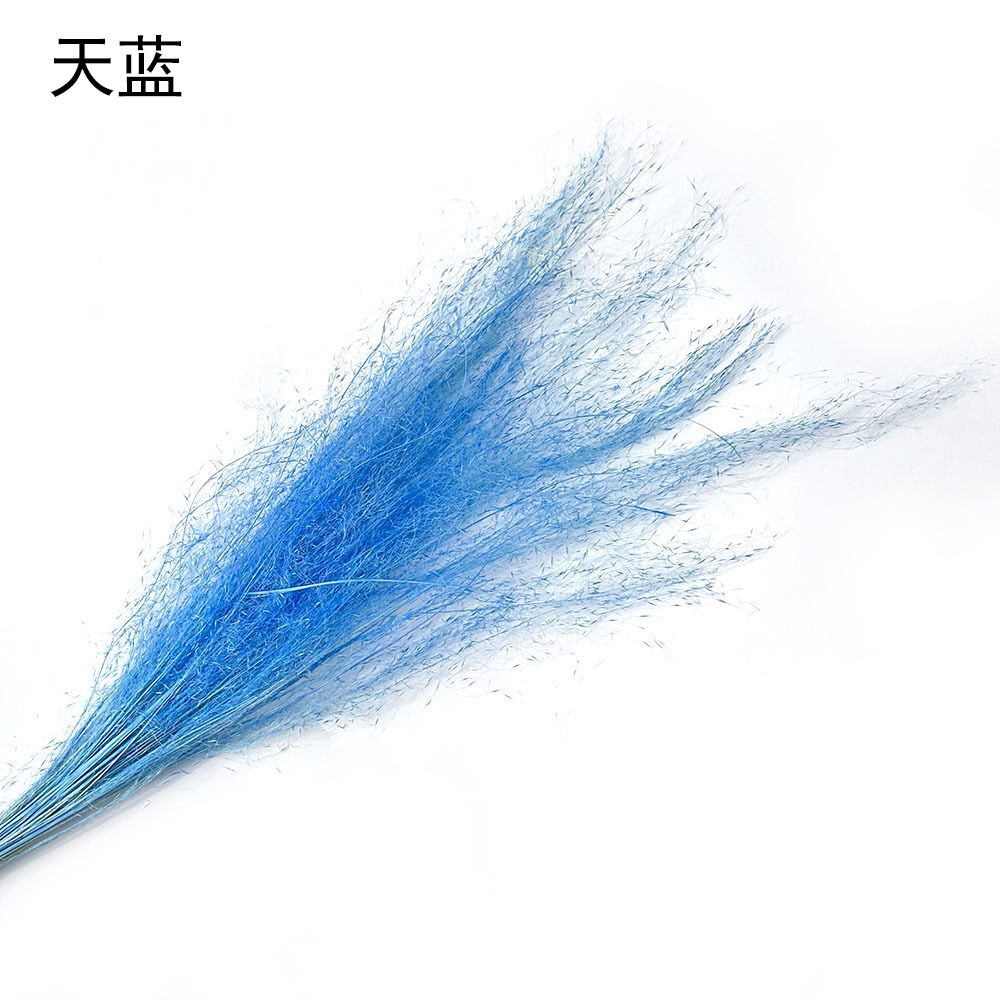 微信图片_20230910130005.jpg