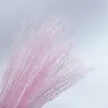 缩略图 1