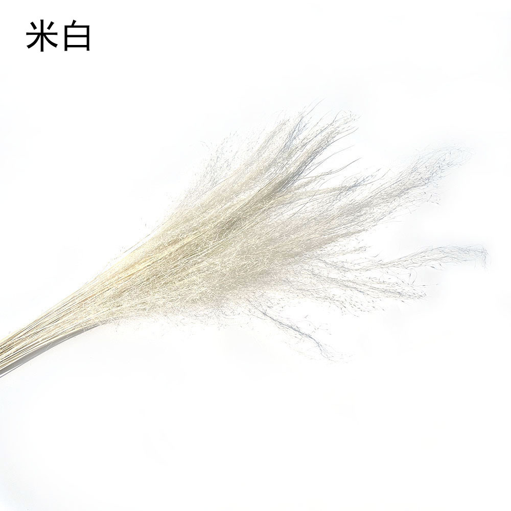 微信图片_20230910130011.jpg