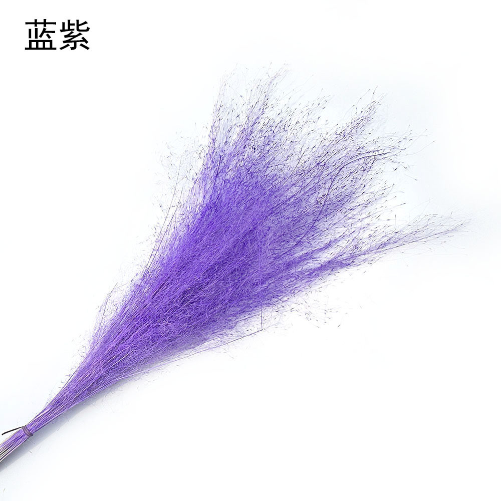 微信图片_20230910130009.jpg
