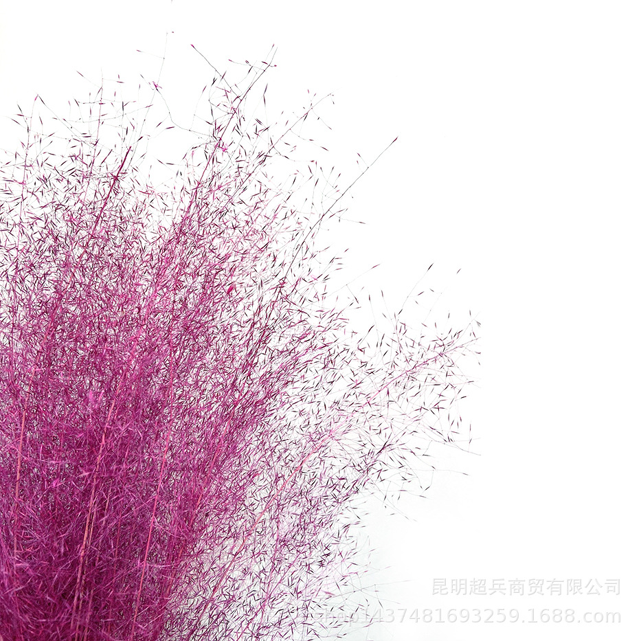 QQ图片20201014134313.jpg
