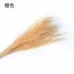 缩略图 8