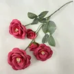 缩略图 8