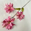 缩略图 7