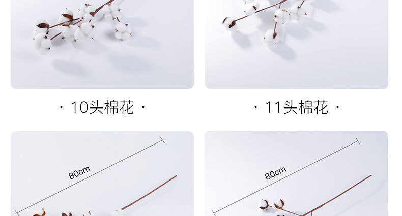 企业微信截图_16541519121840_07