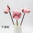 缩略图 3