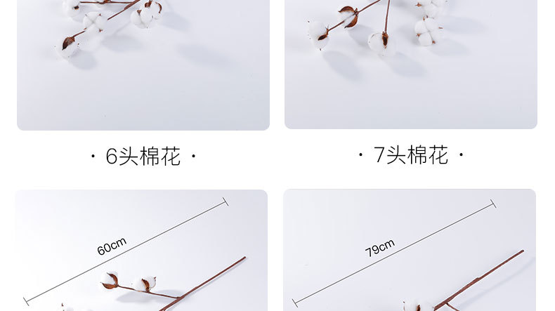 企业微信截图_16541519121840_05