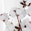 缩略图 4