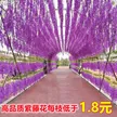 缩略图 5