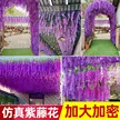缩略图 1