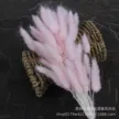 缩略图 7