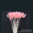缩略图 6