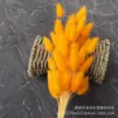 缩略图 9