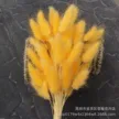 缩略图 8