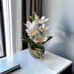 缩略图 1