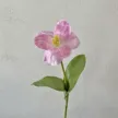 缩略图 6