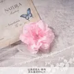 缩略图 5