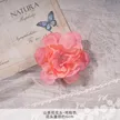 缩略图 7