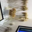 缩略图 9