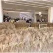 缩略图 5